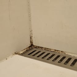 Mugg i fuger på bad: før Mugg i fuger på bad: før